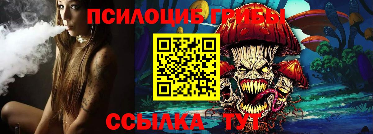 Лесосибирск  Псилоцибиновые грибы прущие грибы  Вход с VPN 