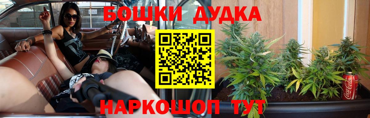 Конопля сатива Лесосибирск